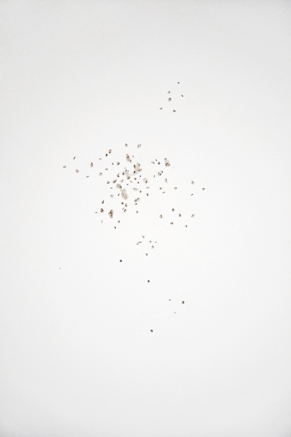Benedicte Deramaux / Ephemeris / digigraphie / 55x83cm / 2013