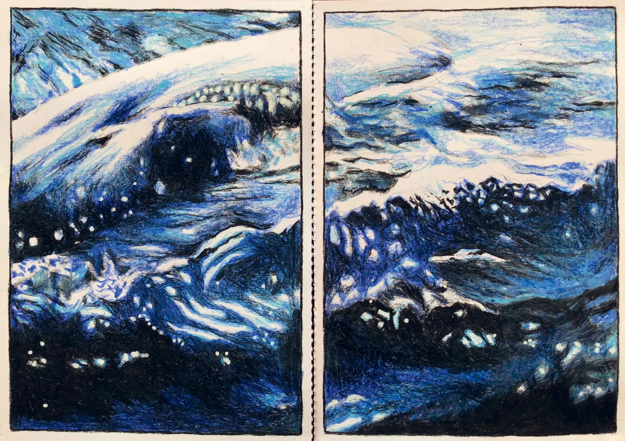 Paul Mahoux, Une nuit avec Moby Dick, pastel, A5, 2019 - 2024