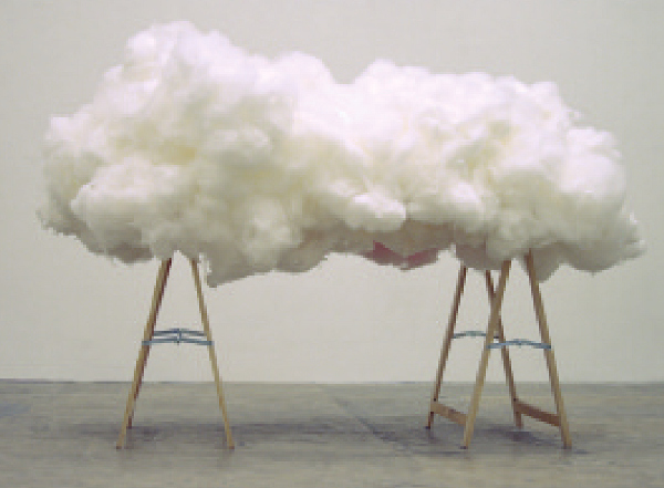 Perrine Lievens, photographie (35 x 26 cm).