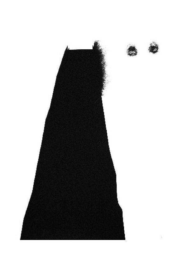 Pol Authom, Famille XV, 2006