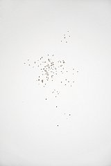 Benedicte Deramaux / Ephemeris / digigraphie / 55x83cm / 2013 